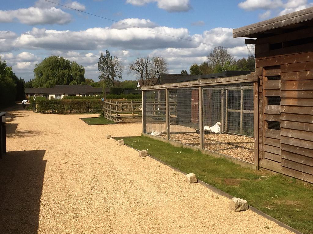 Willow Court Farm Studio South & Petting Farm, 8 Mins From Legoland & Windsor, 15 Mins From Lapland Uk Luaran gambar