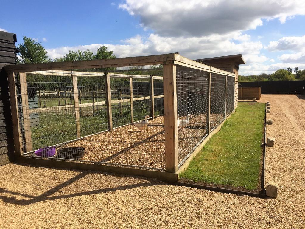 Willow Court Farm Studio South & Petting Farm, 8 Mins From Legoland & Windsor, 15 Mins From Lapland Uk Luaran gambar