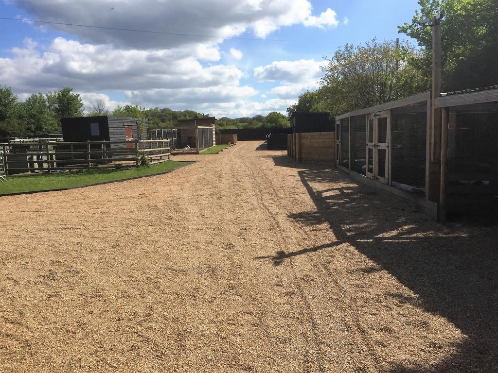 Willow Court Farm Studio South & Petting Farm, 8 Mins From Legoland & Windsor, 15 Mins From Lapland Uk Luaran gambar