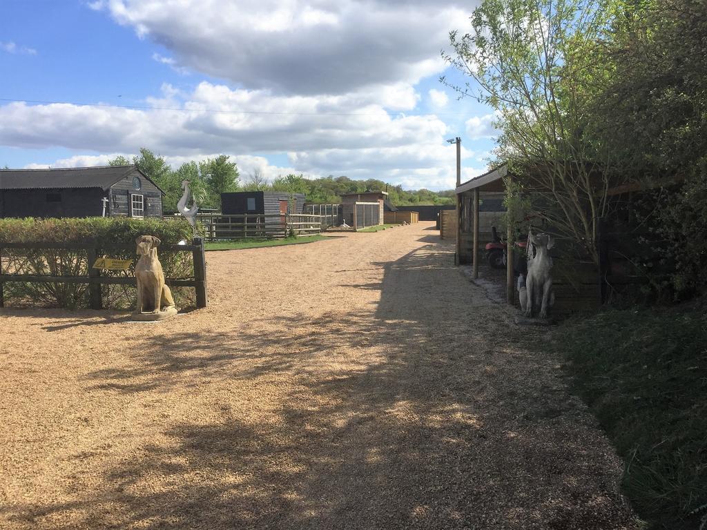 Willow Court Farm Studio South & Petting Farm, 8 Mins From Legoland & Windsor, 15 Mins From Lapland Uk Luaran gambar