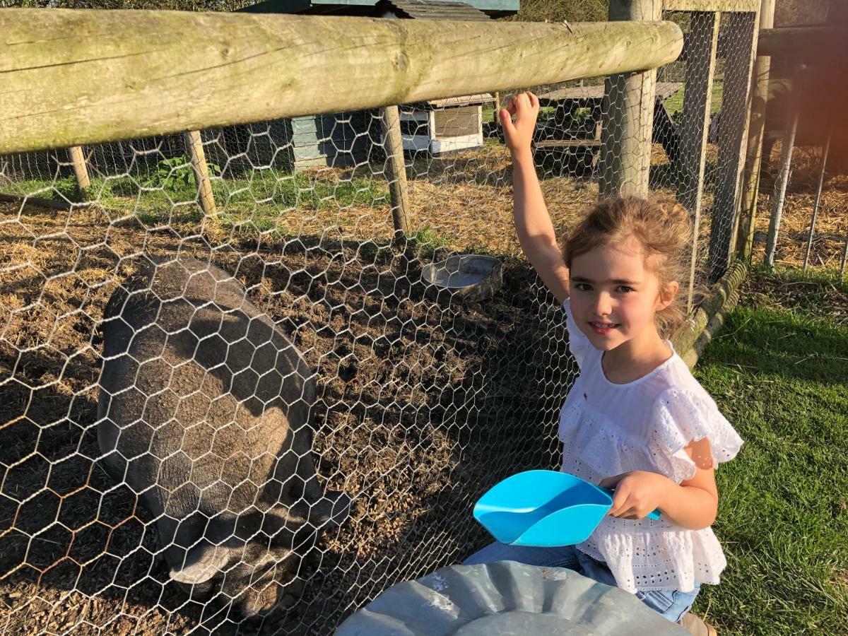 Willow Court Farm Studio South & Petting Farm, 8 Mins From Legoland & Windsor, 15 Mins From Lapland Uk Luaran gambar