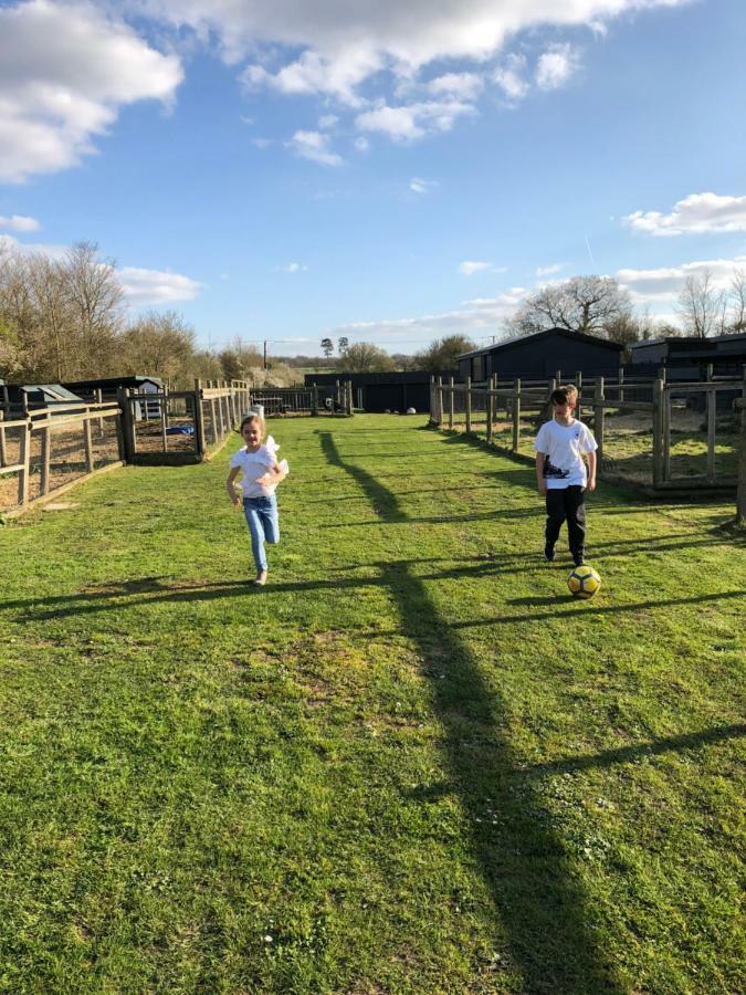 Willow Court Farm Studio South & Petting Farm, 8 Mins From Legoland & Windsor, 15 Mins From Lapland Uk Luaran gambar